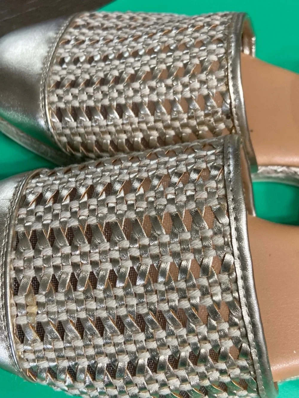 Time and Tru woven metallic